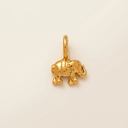 Charm Elefante Sagrado